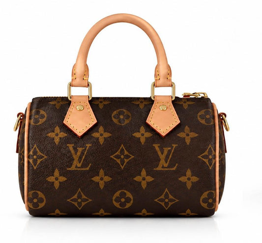 LV hand bag